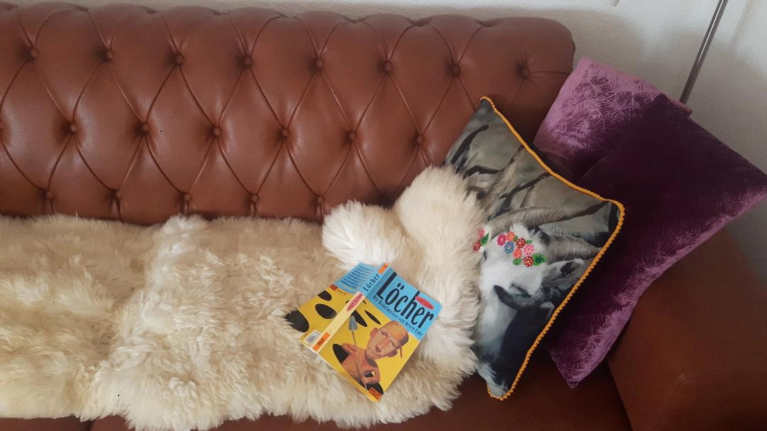 Artloch Prod. - Kunst - Partizipative Sofaperformance auf dem heimischen Sofa, 2020